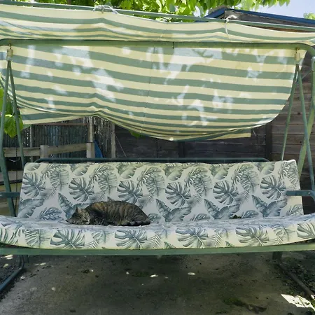 Estudio Adosado Con Jardin Y Parking Privado *