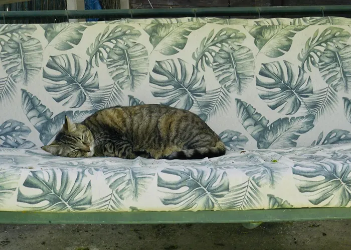 Estudio Adosado Con Jardin Y Parking Privado * Alicante